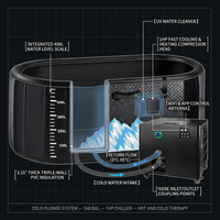 Cold Plunge Tub, 248 Gallon, 1 Horsepower, Heavy-Duty Ice Bath Tub for Athletes with Hot & Cold, Portable Inflatable Plunge Chiller with Water Treatment Kit, Immersion Therapy, Wifi (Black, 1 Set) — How It Works